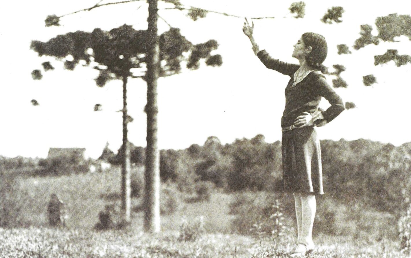 Ada Macaggi