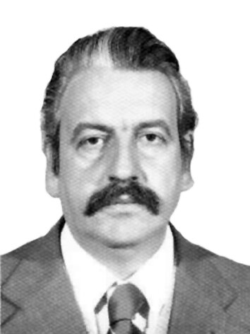 Maurício Fruet - Década de 1980