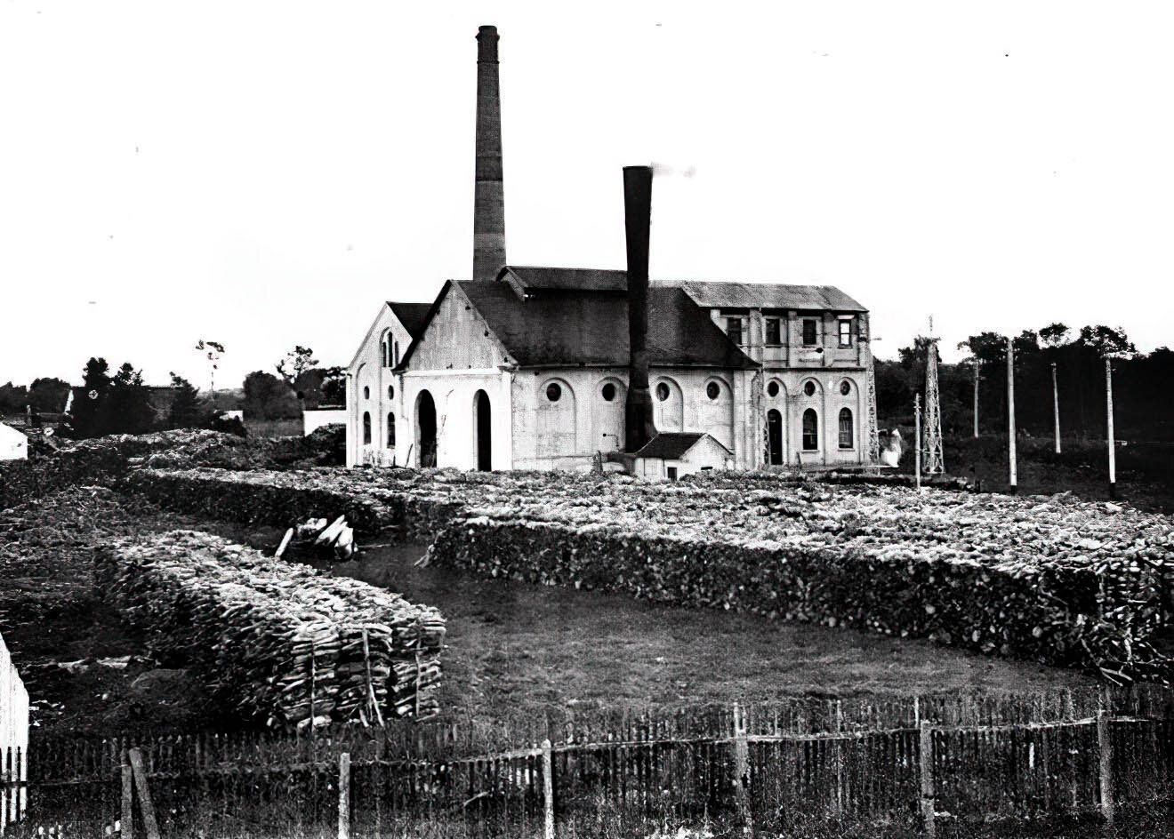 Usina Termelétrica - 1901