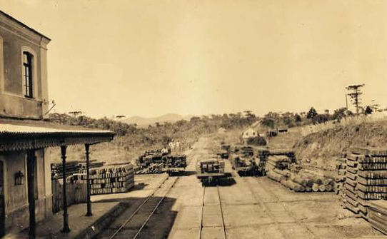 A atuação dos mineradores em Curitiba